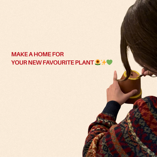 Paint & Plant Buffet 🪴